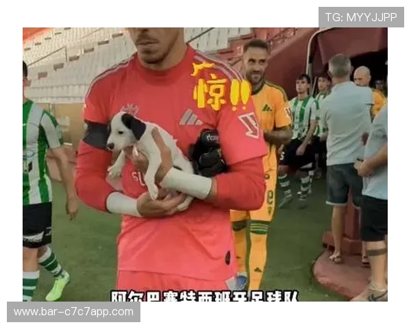 足球球星的甜蜜时刻：揭开他们场下糖果爱好与能量补充的秘密